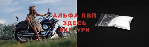 соль ск Надым