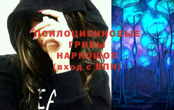 стаф Зерноград