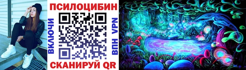 kraken ТОР  Благодарный  Псилоцибиновые грибы Psilocybine cubensis 