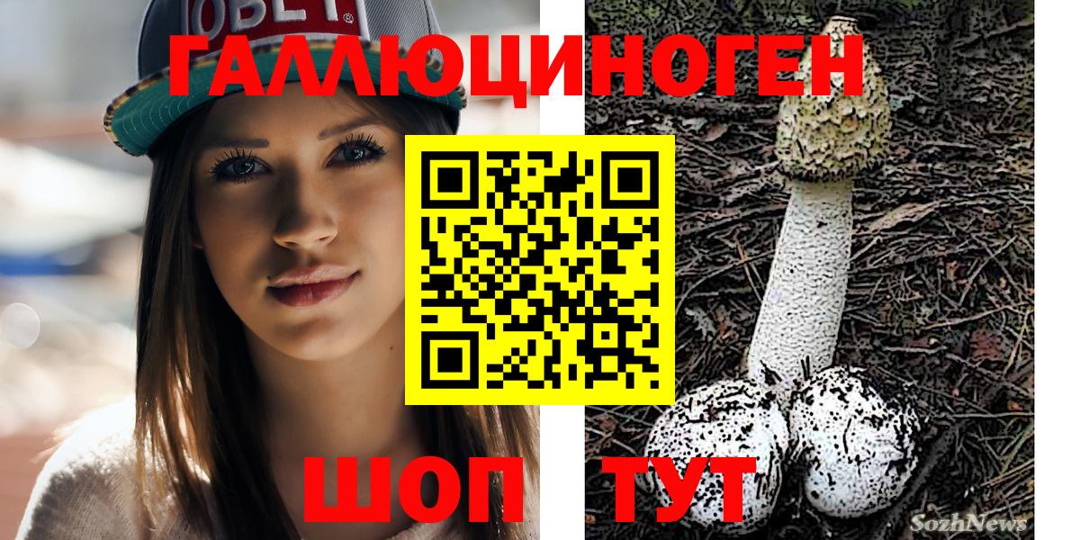 Галлюциногенные грибы ЛСД  Благодарный  Псилоцибиновые грибы прущие грибы 