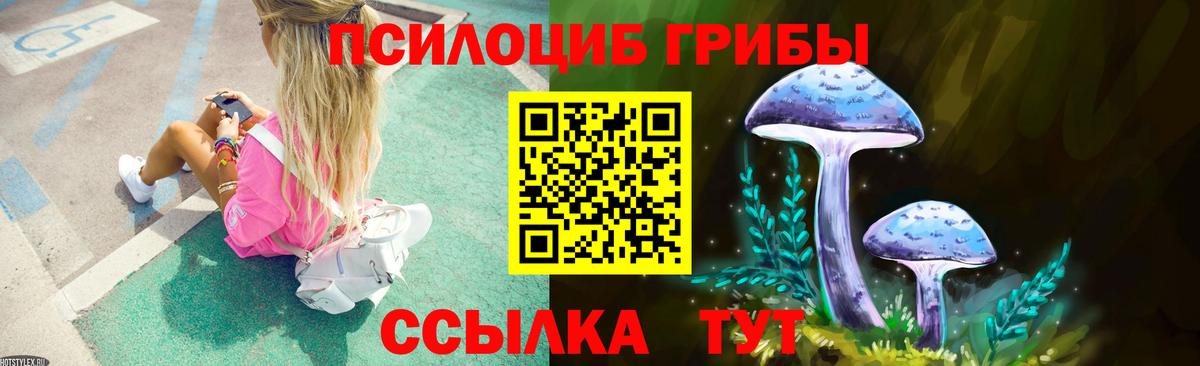 Псилоцибиновые грибы Psilocybe Благодарный
