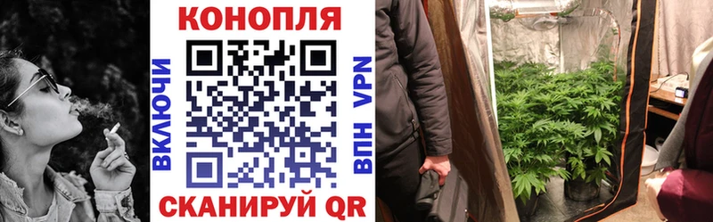 гидра как войти  Благодарный  Марихуана Bruce Banner 